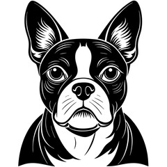 Boston terrier dog black silhouette vector with white background