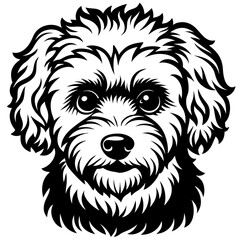 bichon frise dog black silhouette vector with white background