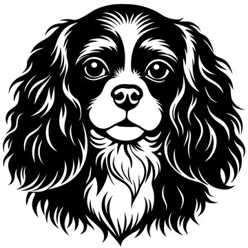 recommend clip art: cavalier king charles spaniel dog black silhouette vector with white background