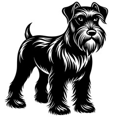 giant schnauzer dog black silhouette vector with white background
