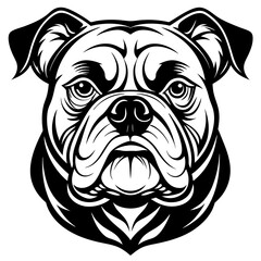 bulldog black silhouette vector with white background