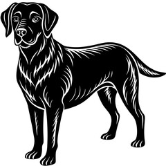  Labrador retriever dog black silhouette vector with white background