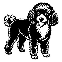 poodle dog black silhouette vector with white background