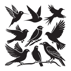 Silhouettes – Birds Birds of Spring Pigeons Flying Silhouettes 4