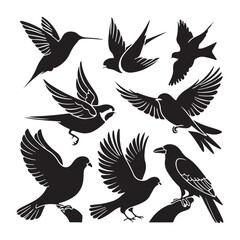 Silhouettes – Birds Birds of Spring Pigeons Flying Silhouettes 4