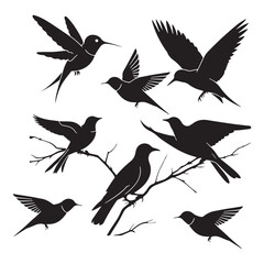 Silhouettes – Birds Birds of Spring Pigeons Flying Silhouettes 4