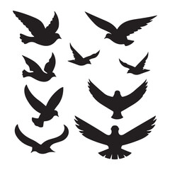 Silhouettes – Birds Birds of Spring Pigeons Flying Silhouettes 4