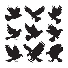 Fototapeta premium brid silhouette Pigeons Flying Silhouettes 6 Raven Silhouette 