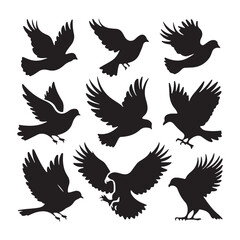 Obraz premium brid silhouette Pigeons Flying Silhouettes 6 Raven Silhouette 