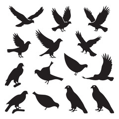 brid silhouette Pigeons Flying Silhouettes 6 Raven Silhouette 