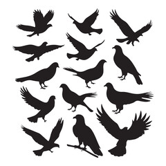 brid silhouette Pigeons Flying Silhouettes 6 Raven Silhouette 