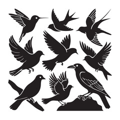 Obraz premium brid silhouette Pigeons Flying Silhouettes 6 Raven Silhouette 
