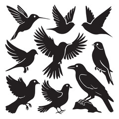 brid silhouette Pigeons Flying Silhouettes 6 Raven Silhouette 