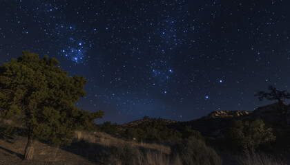 Night Sky Starry Landscape Trees Hills Dark Nature Outdoors