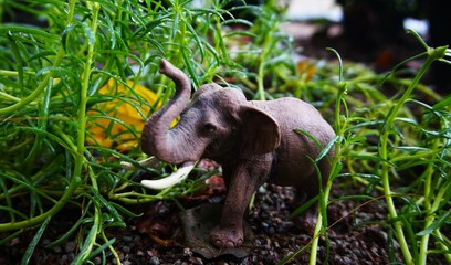 A realistic looking small toy elephant stands among greenery. The toy elephant has a raised trunk and is positioned on a surface covered in pebbles and small leaves. The surrounding plants have long, 