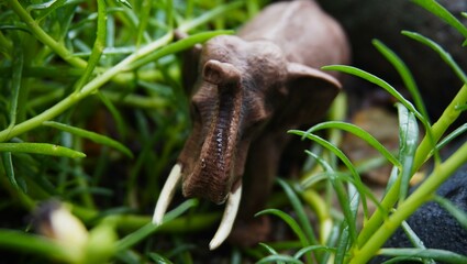 Toy elephants in the bushes, in the park as if living in the forest are made to look like this is real