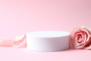 Pink rose petals with podium on a color background
