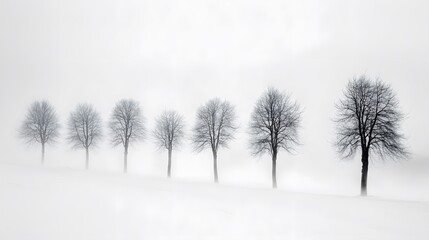 Ethereal trees in a misty winter landscape at twilight casting shadows on the snow