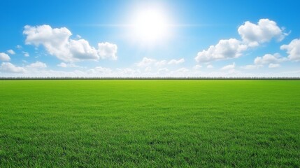Obraz premium Vibrant Green Field Under Sunny Sky Wide Shot Composition, Lush Grass, Blue Sky, White Clouds, Landscape Photography, Nature Scenery. Landscape, Nature Photography