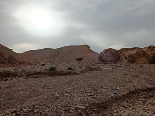 landscape in the desert