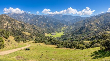 Fototapeta premium A scenic valley with mountains and a dirt road under a clear blue sky.