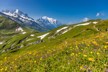 Mont Blanc, Monte Bianco mountain summit in the Alps. The highest mountain in Europe. Snow and glacier covered high altitude snow mountain in the Alps. The top of Montblanc Chamonix valley landscape