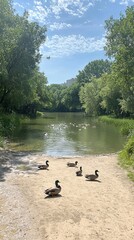 A serene lakeside scene with ducks resting on sandy shore.