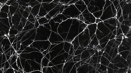 Black background with a white web-like pattern of neural connections. 