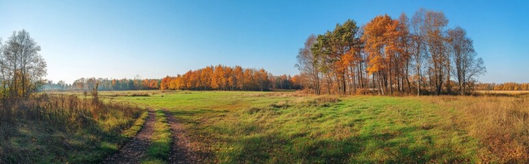 Fototapeta premium landscape with trees and blue sky