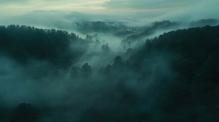 Obraz premium Enigmatic castle shrouded in mist amidst towering trees at dawn
