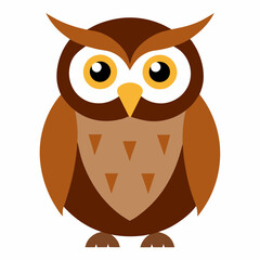 Owl ,White background