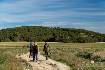 Landscape with a group of hikers walking on a trail