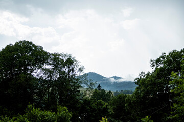 gray sky, white clouds, fog, mountains, landscape, trees, green leaves, travel, space, weekend