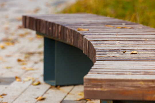 A curved wooden bench rests quietly, adorned with scattered autumn leaves as evening light softly illuminates the park.