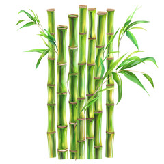 Fototapeta premium Tropical Meadow Clipart Vector Illustration