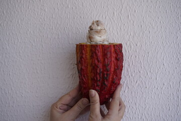 The cocoa bean, also known simply as cocoa or cacao, is the dried and fully fermented seed of...