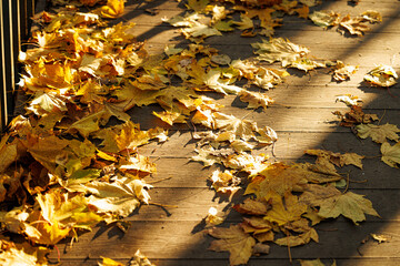 Golden autumn leaves scatter across a wooden walkway, creating a warm and inviting atmosphere on a sunny day.