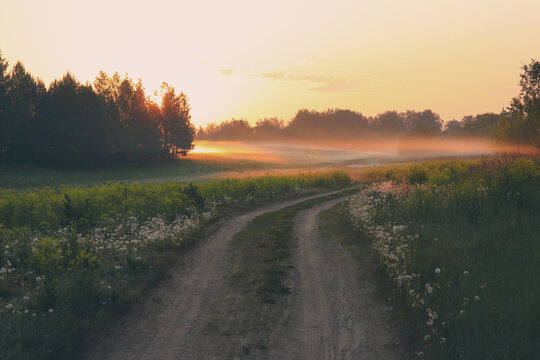 morning landscape with road rising sun and fog at sunrise