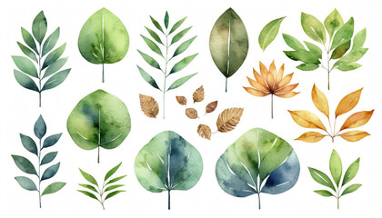 Hand-painted watercolor set featuring a variety of green leaves, golden branches, and orange flowers, creating a lush and vibrant botanical collection.