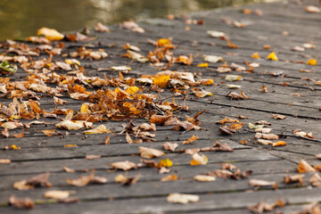 Obraz premium A variety of fallen leaves cover an old wooden dock next to a calm lake, capturing the essence of autumns beauty.