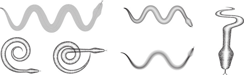 Chinese new year 2025 zodiac snake symbol collection .design elements . Year of the snake .World snake day logo set. Line art . Vector illustration
