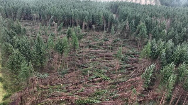 Aerial view of Storm Darragh damage to the Brecon Beacons in South Wales.