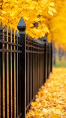 Autumnal Pathway Beside a Black Metal Fence with Golden Leaves