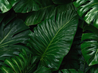Photorealistic close-up of large, dark green tropical leaves with deep veins and rich, glossy textures, creating a lush and vibrant composition. Generative AI