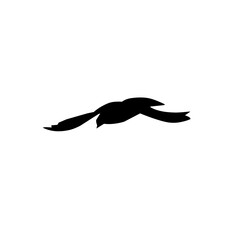 flying bird silhouette