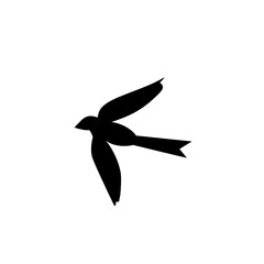 flying bird silhouette