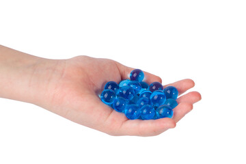  Blue orbises in  hand isolated on white.