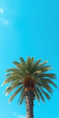 Vibrant blue sky frame, perfect for text or images, sunshine,frame