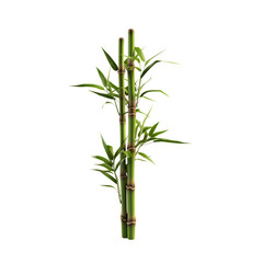 Naklejka premium Green Bamboo Plant in Pot PNG Cutout Image with Transparent Background for Minimalist and Eco-Friendly Designs