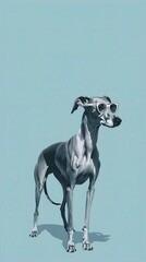 A sleek greyhound with minimalistic, silver glasses, standing proudly against a solid light blue background. The glasses give the dog a graceful and intellectual look.